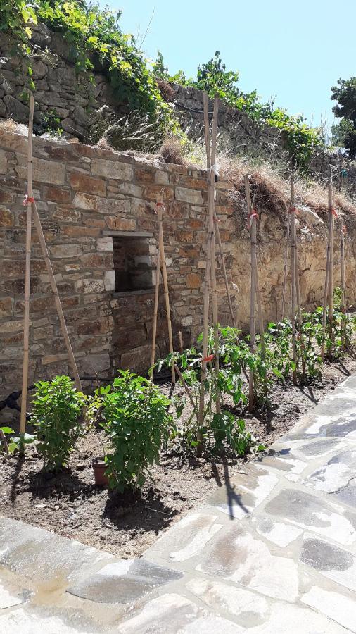 Villa Monopati Eco Raches (Ikaria)